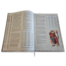 Load image into Gallery viewer, Amberlight D&D 5E Sourcebook (May Preorder) - Chronicle